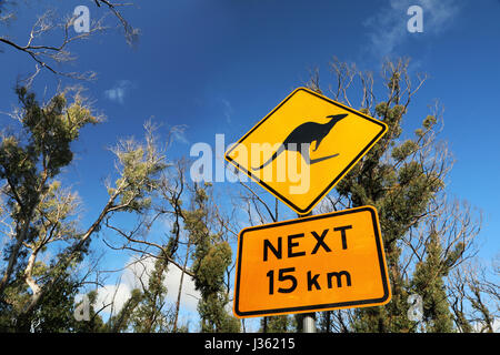 Typisch australische achten Sie auf Wallaby-Verkehrszeichen Stockfoto