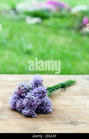 Blume-Schnittlauch gebunden in ein Snop auf ein natürliches Holz Schneidebrett Stockfoto