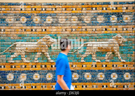 Keramikfliesen, zeigen Löwen auf Prozessionsstraße am Ischtar-Tor im Pergamonmuseum, Museumsinsel, Berlin, Deutschland Stockfoto