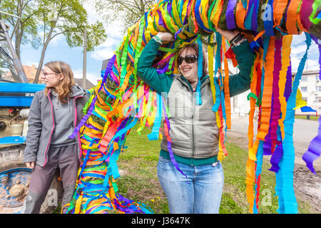 Die Vorbereitung und Bau Maibaum ist ein traditioneller Brauch in den kleineren Städten und Dörfern, Kryry, Nord-Böhmen, Tschechische Republik, Europa Stockfoto
