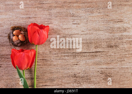 Rote Tulpe mit Vogelnest auf braune Vintage-Hintergrund. Ansicht von oben, Text-Raum Stockfoto