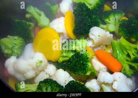 Die nützlichste Art zu kochen. Eine Reihe nützlicher für eine gesunde Ernährung mit Gemüse, Kohl, Brokkoli, Möhren und anderes Gemüse Stockfoto