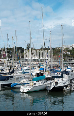 Yachten ankern in der Marina im Hafen von Funchal, Madeira Stockfoto