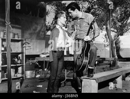 Roustabout Baujahr: 1964 USA Regie: John Rich Elvis Presley, Joan Freeman.  Es ist verboten, das Foto aus dem Kontext der Promotion des Films zu reproduzieren. Es muss die Filmgesellschaft und/oder der Fotograf von zugewiesen oder von autorisierten / erlaubt am Set von der Filmgesellschaft gutgeschrieben werden. Nur für redaktionelle Nutzung. Photo12 gewährt keine Persönlichkeitsrechte der Personen vertreten. Stockfoto