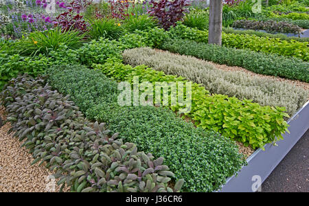 Ein Brunnen angelegt Kräutergarten Stockfoto