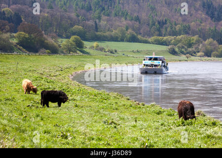 Schifffahrt auf der Weser in der Nähe von Oberweser zwischen Gewissenruh, Wahmbeck, Weserbergland, Weserbergland, Reinhardswald, Hessen oder Niedersachsen, Deutsch Stockfoto