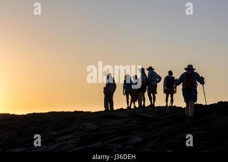 Reisegruppe Silhouette wie die Sonnen untergeht auf dem Lavagestein am Punta Espinosa, Fernandina Insel. Stockfoto