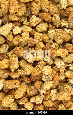 getrockneten weißen Maulbeere Früchte Closeup als eine Hintergrundtextur Essen Stockfoto
