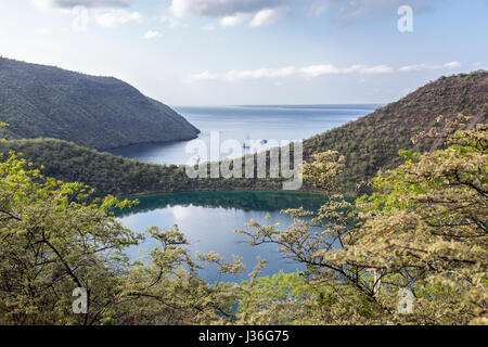 Blick zurück über Darwin See Tagus Cove, mit mehreren Booten einschließlich der Mary Anne. Vordergrund Bäume schließen die Palo Santo (Bursera Graveolens). Stockfoto