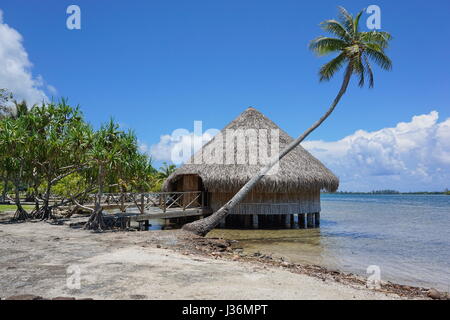 Typische Konstruktion polynesischen traditionellen Gehäuse Fare Potee am Ufer des Sees Fauna Nui, Maeva, Insel Huahine, Französisch-Polynesien Stockfoto