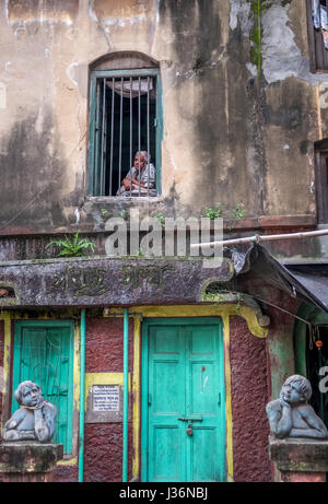 Alter Mann gerade vor seinem Haus Fenster in Kumartuli, der Töpfer-Kolonie von Kolkata, Indien Stockfoto