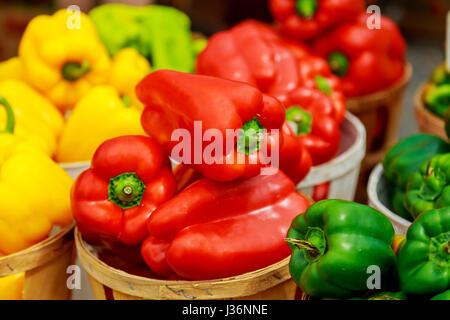 Auswahl an Boxen mit bunten Paprika auf dem Markt. Stockfoto