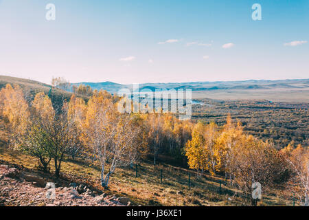 auf einem Berg der Inneren Mongolei Hulun Buir Fluss Genhe Feuchtgebiet im Eergu'Na, im Herbst mit gelben Bäumen und blauen Himmel Stockfoto