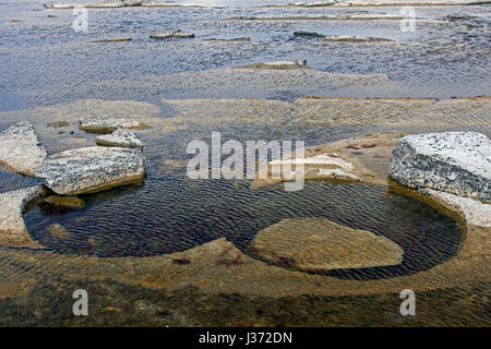 Gislövshammar, kreisförmige Formationen im Fels entlang der Ostsee Küste von Bergbau Mühlsteine für nahe gelegene Getreidemühlen, Österlen, Skane / Scania, Schweden Stockfoto