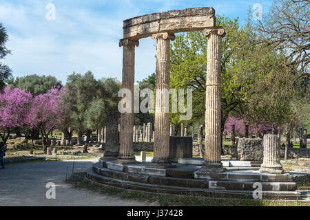 Das Philippeion bei Olympia im Frühjahr mit dem Judasbäume in voller Blüte.  Das antike Olympia, Peloponnes, Griechenland. Stockfoto