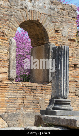 Daselbst Workshop und frühchristlichen Basilika bei Olympia im Frühjahr mit dem Judasbäume in voller Blüte.  Das antike Olympia, Peloponnes, Griechenland. Stockfoto