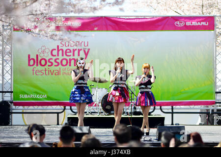 Tausende genießen kultige Elemente der japanischen Kultur unter abgebildeten Perfekte Wetterbedingungen während der 20. jährlichen Cherry Blossom Festival in Fa Stockfoto