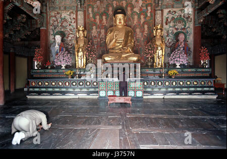 Sokkuram Tempel Teil der Bulguksa Tempel-Komplex, Leiter des Jogye-Ordens des koreanischen Buddhismus, Südkorea, Asien Stockfoto