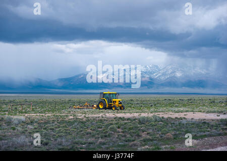 Gelbe Traktor mit einem Pflug arbeiten auf dem Gebiet mitten in Nevada, Anbau von Land für den Anbau von Nahrungspflanzen, umrahmt von einem Bergrücken des Hochgebirges Stockfoto