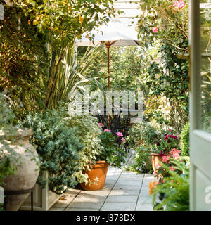 Sonnenschirm im Garten. Stockfoto