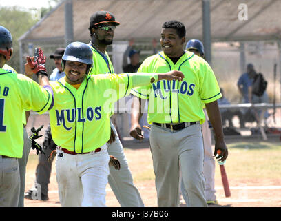 Die Mulos und die Cubs, Teams mit mexikanischen Liga Baseball spielen Meisterschaft auf Mission Manor Park, Tucson, Arizona, USA. Stockfoto