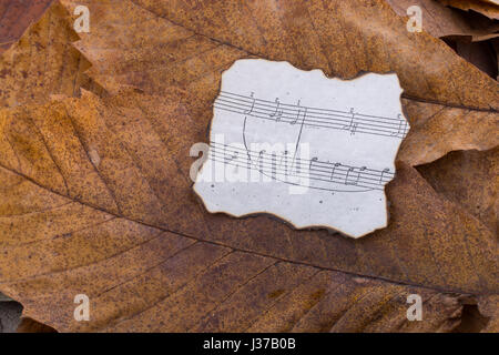 Noten auf dem verbrannten Papier platziert auf einem Blatt Stockfoto