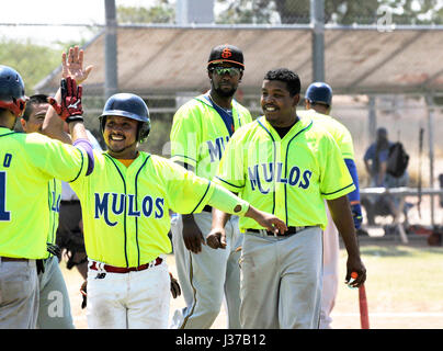 Die Mulos und die Cubs, Teams mit mexikanischen Liga Baseball spielen Meisterschaft auf Mission Manor Park, Tucson, Arizona, USA. Stockfoto