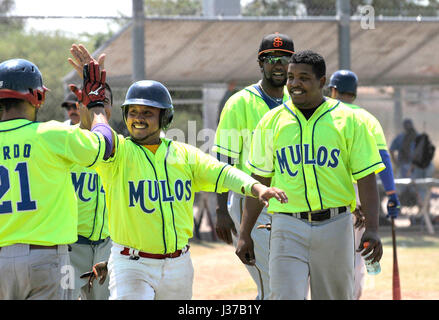 Die Mulos und die Cubs, Teams mit mexikanischen Liga Baseball spielen Meisterschaft auf Mission Manor Park, Tucson, Arizona, USA. Stockfoto