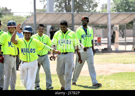 Die Mulos und die Cubs, Teams mit mexikanischen Liga Baseball spielen Meisterschaft auf Mission Manor Park, Tucson, Arizona, USA. Stockfoto