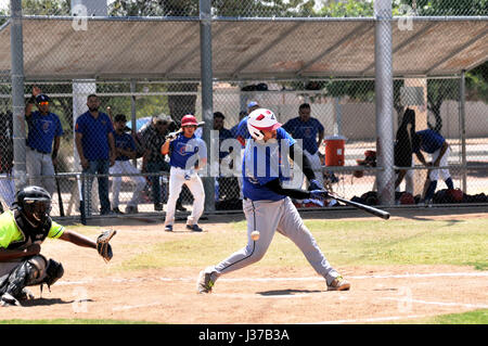 Die Mulos und die Cubs, Teams mit mexikanischen Liga Baseball spielen Meisterschaft auf Mission Manor Park, Tucson, Arizona, USA. Stockfoto