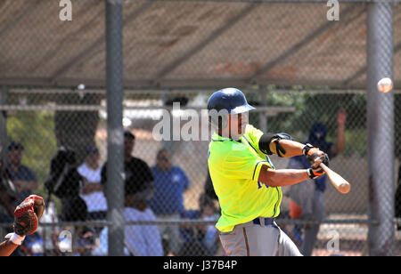 Die Mulos und die Cubs, Teams mit mexikanischen Liga Baseball spielen Meisterschaft auf Mission Manor Park, Tucson, Arizona, USA. Stockfoto