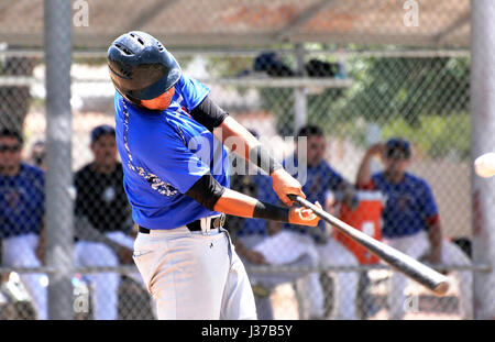 Die Mulos und die Cubs, Teams mit mexikanischen Liga Baseball spielen Meisterschaft auf Mission Manor Park, Tucson, Arizona, USA. Stockfoto