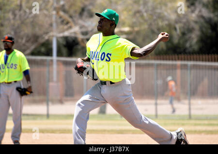 Die Mulos und die Cubs, Teams mit mexikanischen Liga Baseball spielen Meisterschaft auf Mission Manor Park, Tucson, Arizona, USA. Stockfoto