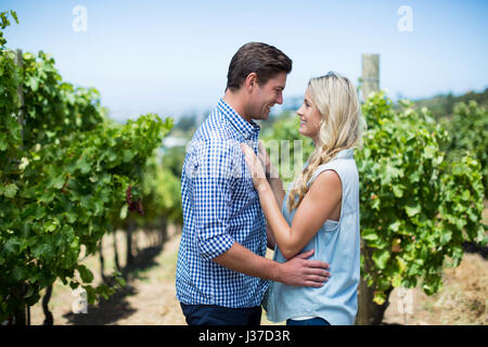 Seitenansicht des jungen Paares sahen einander an sonnigen Tag im Weinberg Stockfoto