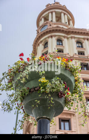 Blumen Dekoration Platz Plaza de Callao und verschwommen Vitalicio Gebäude Turm im Hintergrund. Madrid, Spanien Stockfoto