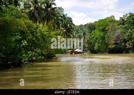 Philippinen, Visayas Insel, Loboc River Stockfoto