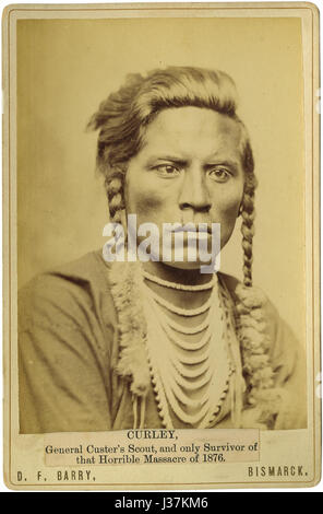 Diese „Curly Cabinet Card“ von DF Bary, um 1885, ist ein Vintage-Foto, das ein formelles Porträt mit einer unverwechselbaren lockigen Frisur zeigt. Es ist eine Darstellung von Porträtfotografietechniken und Modetrends aus dem späten 19. Jahrhundert. Stockfoto