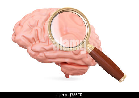 menschlichen Gehirns mit Lupe, 3D-Rendering isolierten auf weißen Hintergrund Stockfoto