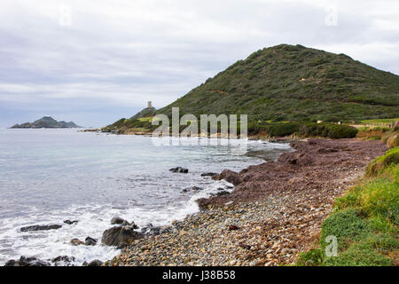 Genueser Aussichtstürme aus dem 15. und 16. Jahrhundert kann entlang der malerischen Landzungen von Punkt de La Parata, 15 km südwestlich von Ajaccio, Korsika gesehen werden. Stockfoto