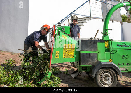 Baumschulgärtner Baum Chirurgen Holz Entsorgung GreenMech Baumpfleger 150 Holz Häcksler Zweig Entsorgung Laub Maschinenhandbuch Arbeitnehmer Stockfoto