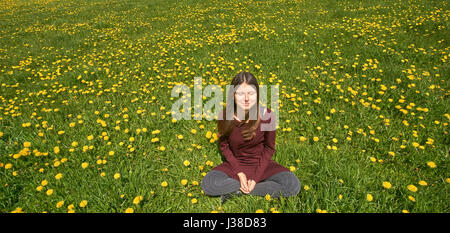 Schöne lächelnde junge Frau auf einer Wiese mit vielen Löwenzahn in der Frühlingssonne. Vorderansicht mit Exemplar. Stockfoto