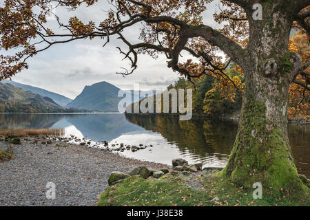 Schöne Herbst Fall Landschaftsbild des Lake Buttermere im Lake District, England Stockfoto