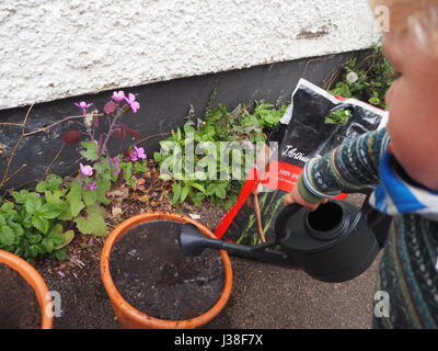 Zwei Jahre alte hilft bei die Saat. Teil einer Reihe von Kleinkind im Garten. Ein Blumentopf mit kleinen Gießkanne gießen. Stockfoto