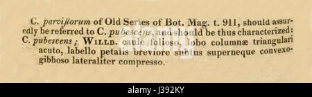 Cypripedium parviflorum, auch bekannt als der gelbe Damenschuh, wird in Curtis' botanischer Referenz aus dem Jahr 1830 beschrieben. Diese Blüte ist bekannt für ihre ausgeprägte gelbe Blüte und gehört zur Orchideenfamilie, die in gemäßigten Regionen Nordamerikas zu finden ist. Stockfoto