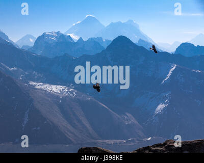 Zwei Raben genießen Thermik in der Nähe von Gokyo Ri mit Mount Everest am Horizont hinterleuchtete Stockfoto