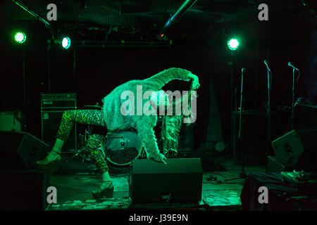 Porträt einer schönen jungen Frau Stockfoto