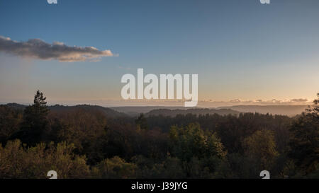 Sonnenuntergang über der Spitze des dichten Wald Stockfoto