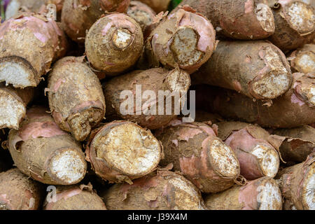 Einen Haufen von Süßkartoffeln (Süßkartoffel) zum Verkauf an ein Lebensmittelgeschäft in Thalassery (Tellicherry), Kannur Bezirk (Cannanore), Kerala, Süd-Indien, Südasien Stockfoto