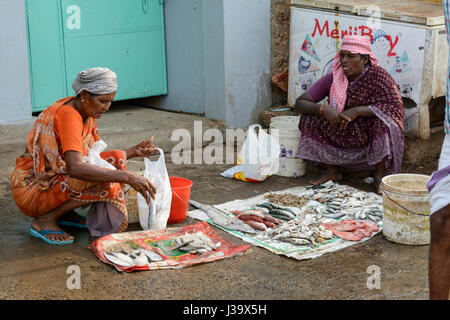 Tägliche Fischmarkt in Thalassery (Tellicherry), Kannur Bezirk (Cannanore), Kerala, Süd-Indien, Südasien Stockfoto