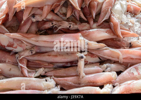 Einen Haufen frisch gefangenen Tintenfisch zum Verkauf auf dem Fischmarkt in Thalassery (Tellicherry), Kannur Bezirk (Cannanore), Kerala, Süd-Indien, Südasien Stockfoto